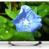 تلویزیون نانو ال ای دی سه بعدی بدون قاب ال جی NANO LED 3D LG 55LM9600=55LM96000 13413609809600