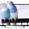 تلویزیون ال ای دی سه بعدی براویا سونی LED FULL HD BACKLIGHT TV 3D SONY 42R500A 1376195051sony 42r500.5
