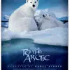 فیلم سه بعدی بلوری جذاب مستند به سوی قطب شمال 3D Blu Ray Full HD Film To The Arctic 1390651237 To The Arctic asli