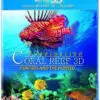 مستند سه بعدی بلوری دیدنی صخره های مرجانی 3D Blu Ray Film Fascination Coral Reef 1390900650coral ok
