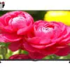 تلویزیون ال ای دی اچ دی سری 5 ال جی مدل LG LED HD TV 32LB551 140499085632lb551 5