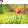 تلویزیون ال ای دی فول اچ دی هوشمند ال جی مدل LG LED FULL HD SMART TV 42LB5820 14052499351006 lg 32lb5820 led logo copy