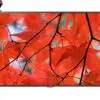 تلویزیون ال ای دی فول اچ دی جدید ال جی مدل LG LED FULL HD TV 50LB5610 1405767109LD0001574271 2 0001574286 0001574312 copy copy