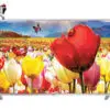 تلویزیون ال ای دی فول اچ دی هوشمند ال جی مدل LG LED FULL HD SMART TV 50LB5820 1406017534zoom 1 30may copy