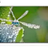 تلویزیون ال ای دی سه بعدی فول اچ دی ال جی مدل LG LED 3D FULL HD 42LB650 141155753942lb650t 8