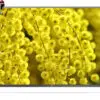 تلویزیون ال ای دی تری دی هوشمند ال جی مدل LG LED 3D FULL HD SMART TV 60LB650 1412161492lb650000