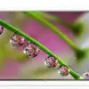 تلویزیون ال ای دی فول اچ دی سری جدید ال جی مدل LG LED FULL HD TV 55LB552 14139880774 140532245232lb552 8