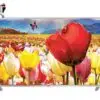 تلویزیون ال ای دی فول اچ دی هوشمند ال جی سری جدید LG LED FULL HD SMART TV 55LB5820 141527798955LB5820 6