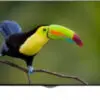 تلویزیون ال ای دی هوشمند ال جی الترا اچ دی سه بعدی 4کی LED SMART TV LG 4K 3D 55UB830 1425215545LG TV 49 UB830 14