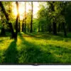 تلویزیون فول اچ دی ال ای دی ال جی LG LED FULL HD TV DIVX HD IPS PANEL 60LB5630K 14317584925630