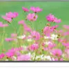 تلویزیون هوشمند ال ای دی فول اچ دی ال جی LG SMART LED TV FULL HD 42LB582 2 تلویزیون هوشمند ال ای دی فول اچ دی ال جی LG SMART LED TV FULL HD 42LB582 1431870981gfdhf