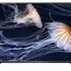تلویزیون ال ای دی اولترا اچ دی فورکی ال جی LG LED TV ULTRA HD 4K 850HZ 43UF671 1437476773f5440f07f493aa7073cc5a0827525f34500x500