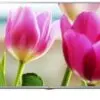 تلویزیون ال ای دی فول اچ دی 100 هرتز ال جی LG LED FULLHD TV DIVX HD 100HZ 42LF550 1437564446tivi led lg 42inch full hd model 42lf550t en 1418 2632001 1 product