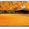 تلویزیون سه بعدی ال ای دی فول اچ دی ال جی LG SMART LED TV FULL HD 3D 60LF650 1447486845ewtretretreytt