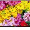 تلویزیون اندرویدی سه بعدی سونی SONY LED 3D TV 4K 65X9000C 1450676198Untitled 1