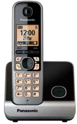 تلفن ثابت بی سیم پاناسونیک PANASONIC CORDLESS PHONE KX-TG6711