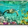 تلویزیون فورکی ال ای دی ال جی LG LED 4K ULTRA HD TV 55UF680 1454573441UF68 detail 01