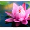 تلویزیون اندرویدی سه بعدی سونی SONY LED 3D TV 4K KD-55X9000C 1455107006retryh