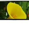 تلویزیون ال ای دی سه بعدی فورکی سونی SONY LED 3D ULTRA HD 85X9500B 14553530321618 sony bravia kd 85x9500b logo