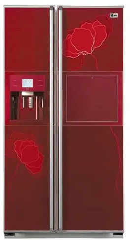 یخچال ساید بای ساید ال جی Lg Side By Side 551L GC-P217L