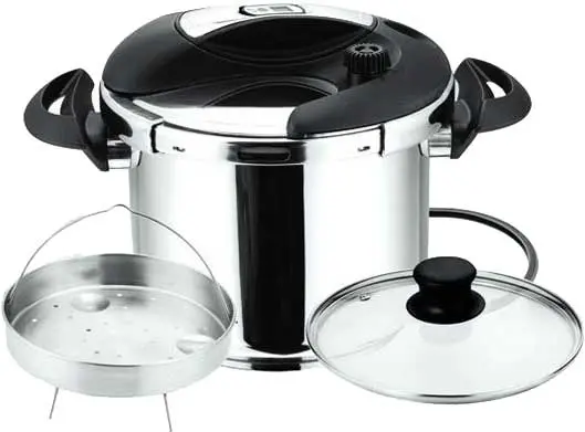 زدوپز استیل روگازی دلمونتی DELMONTI PRESSURE COOKER DL1010