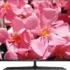تلویزیون فول اچ دی فیلیپس PHILIPS ANDROID TV LED FULL HD 49PUS7909 14618266385