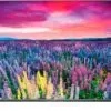 تلویزیون هوشمند ال جی LG LED TV 4K 65UH750 147236110149UH750 11