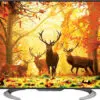 تلویزیون فول اچ دی اندروید شارپ SHARP LED TV FULL HD ANDROID 55LE570X 1 تلویزیون فول اچ دی اندروید شارپ SHARP LED TV FULL HD ANDROID 55LE570X 1487069127sharp lc le570x 1 1