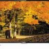 تلویزیون ال ای دی فول اچ دی پاناسونیک PANASONIC FULL HD LED TV TH-40C330M 1506928128small 1