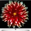 تلویزیون ال جی اولد فورکی هوشمند 55B7V LG 4K OLED SMART 1 تلویزیون ال جی اولد فورکی هوشمند 55B7V LG 4K OLED SMART 151038803055B7V .11 1