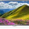 تلویزیون ال جی ال ای دی هوشمند 32LJ571 LG Smart LED 1513676323small.b.m 1