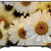 تلویزیون ال ای دی شارپ فول اچ دی SHARP FULL HD LED TV 40LE275X 151704742758le275x