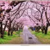 تلویزیون ال ای دی هوشمند فورکی ایکس ویژن 55XTU815 X.Vision Smart 4K LED 154589819355XTU15.11