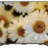 تلویزیون شارپ ال ای دی فول اچ دی 65LE275X SHARP LED FULL HD TV 1 تلویزیون شارپ ال ای دی فول اچ دی 65LE275X SHARP LED FULL HD TV 15527241951 1529392597le275 1 1 1