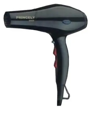 سشوار پرنسلی 4000 وات PR252AT Princely Hair Dryer