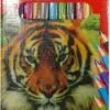مداد رنگی 24 رنگ چند ضلعی Teacher Ding 24 Color Pencil 2 مداد رنگی 24 رنگ چند ضلعی Teacher Ding 24 Color Pencil 15636915221