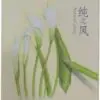 مداد رنگی ایاهو 12 رنگ Aihao 12Color Pencil 1563789179aihao 4