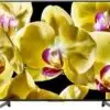 تلویزیون هوشمند سونی فورکی 65X7000G Sony 1 تلویزیون هوشمند سونی فورکی 65X7000G Sony 1570449498kdl 40re353 8 1