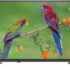 تلویزیون توشیبا هوشمند فول اچ دی Toshiba 43L5865 Smart 1572780030sms88ti30m 7