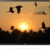 تلویزیون ال جی هوشمند فول اچ دی 49LK5910 LG LED 157598928865uk6500.7