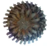 لوستر سقفی نباتی 50 سانتی ceiling chandelier 1580467220shafeie 32 6