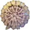 لوستر کریستالی سقفی 40 سانتی Crystal Chandelier 9246 2 لوستر کریستالی سقفی 40 سانتی Crystal Chandelier 9246 15804719489293.50 min 1
