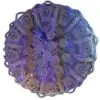لوستر سقفی کریستالی 8518 Crystal ceiling chandelier 60CM 1580639748chandelier5.4