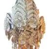 لوستر کریستالی آشپزخانه 8082 Classic Crystal Chandelier 30CM 1580663351chandelier 8.5
