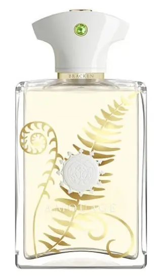 عطر مردانه آمواج براکن Amouage Bracken Man D&P