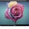 تلویزیون ال ای دی شارپ 32BD1X Sharp WXGA 1590914484hw r450 5