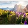 تلویزیون اندروید ال ای دی پاناسونیک 49GX536M PANASONIC 1 تلویزیون اندروید ال ای دی پاناسونیک 49GX536M PANASONIC 159159299055gx736mf 10 1 1 1