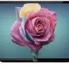 تلویزیون ال ای دی شارپ Sharp 42BD1X WXGA 1591851570philips 5 1