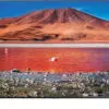 تلویزیون سامسونگ ال ای دی هوشمند فورکی Samsung 50tu7103 2 تلویزیون سامسونگ ال ای دی هوشمند فورکی Samsung 50tu7103 162564106850tu7103 5