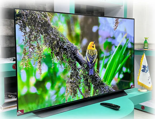 تلویزیون پاناسونیک 65JX850